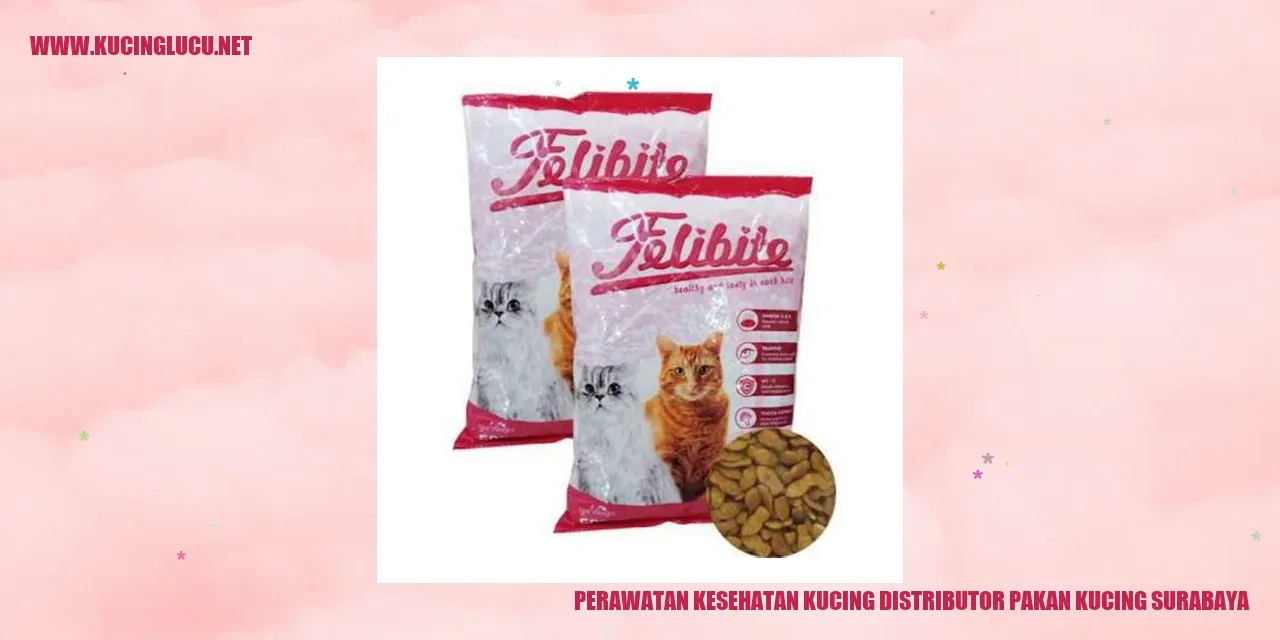 Kucing Sehat