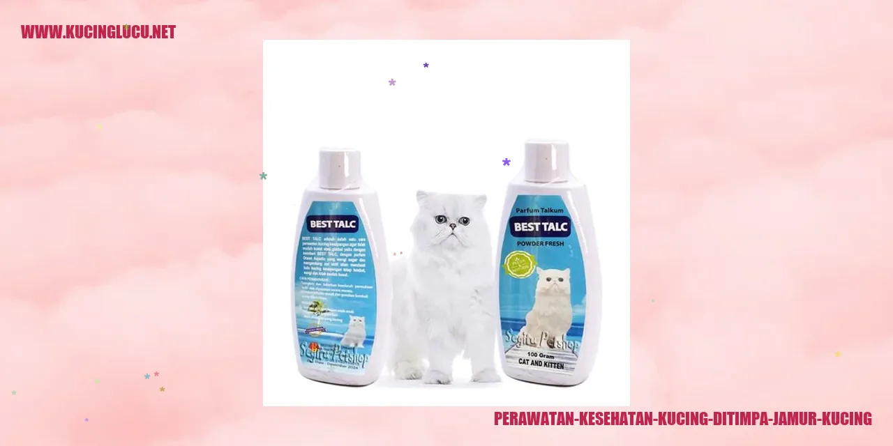 Perawatan kesehatan kucing kena jamur kucing