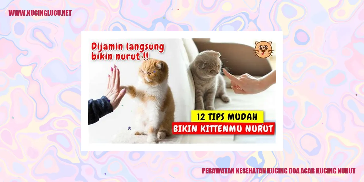 Perawatan Kesehatan Kucing doa agar kucing nurut