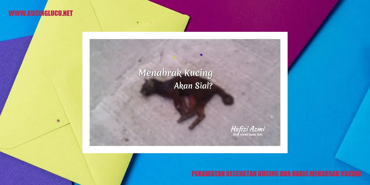 Perawatan Kesehatan Kucing doa habis menabrak kucing