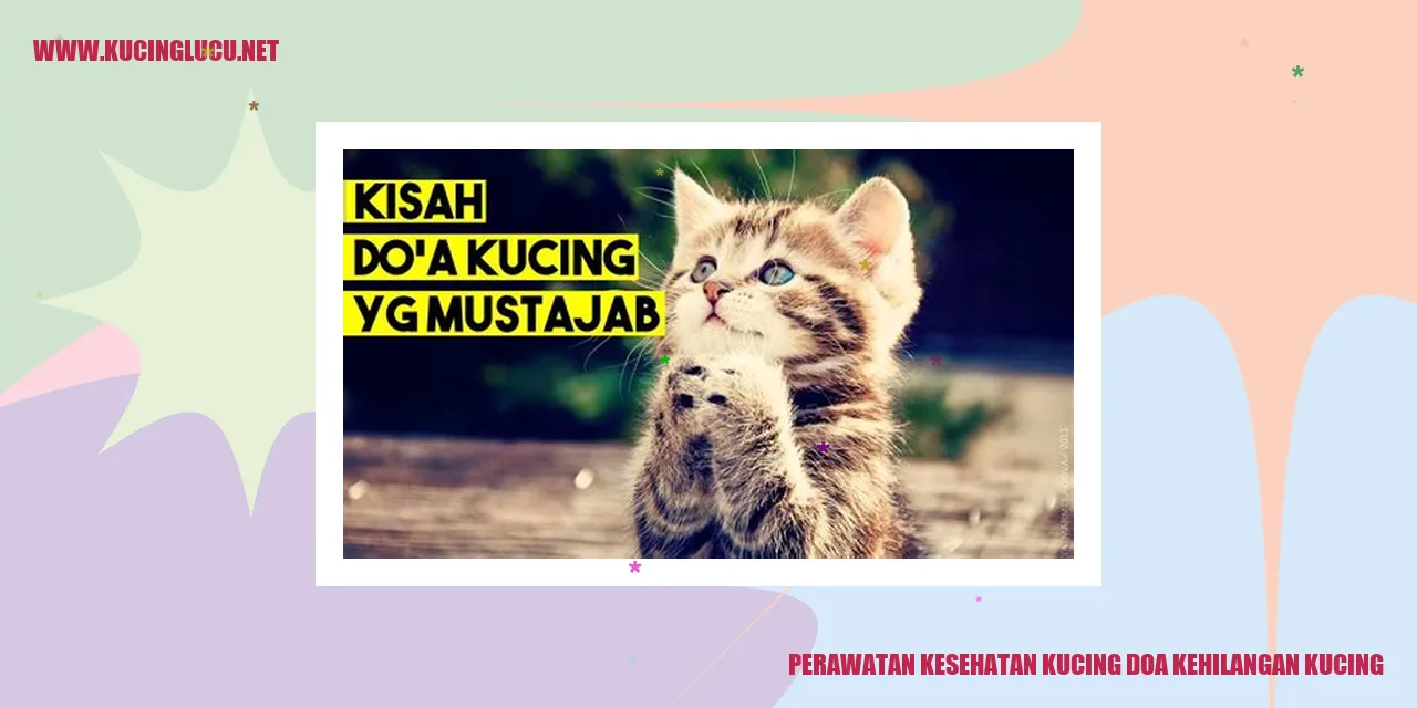 Perawatan Kesehatan Kucing dan Doa Ketika Kehilangan Kucing