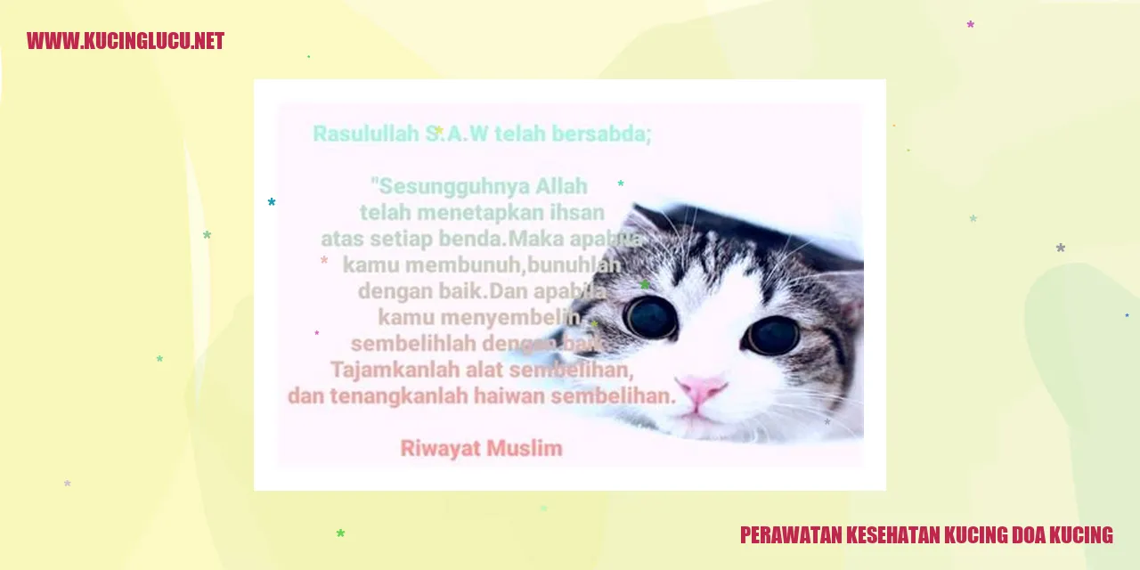 Perawatan Kesehatan Kucing: Doa Kucing