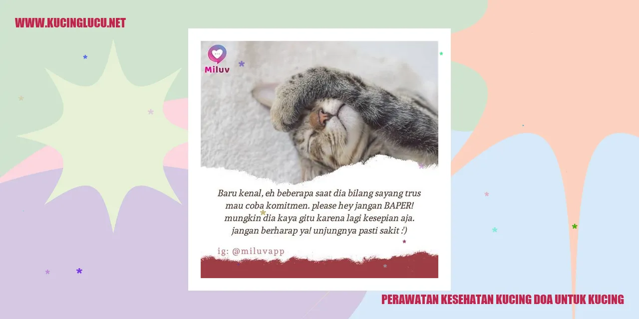 Perawatan Kesehatan Kucing doa untuk kucing