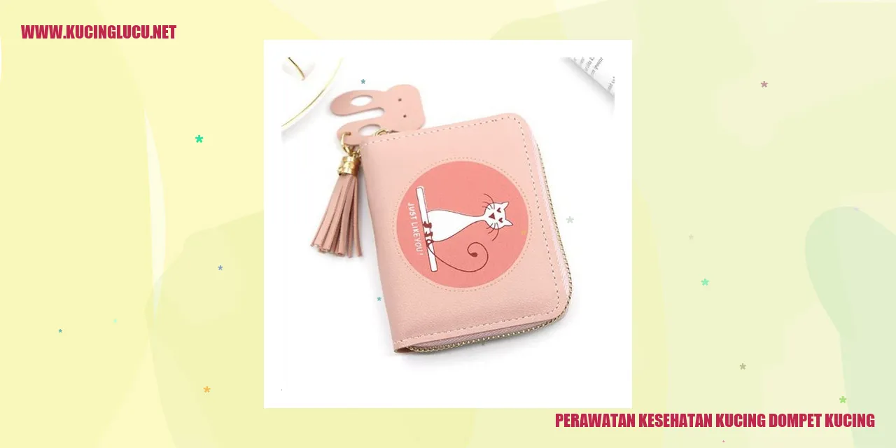 Perawatan Kesehatan Kucing dompet kucing