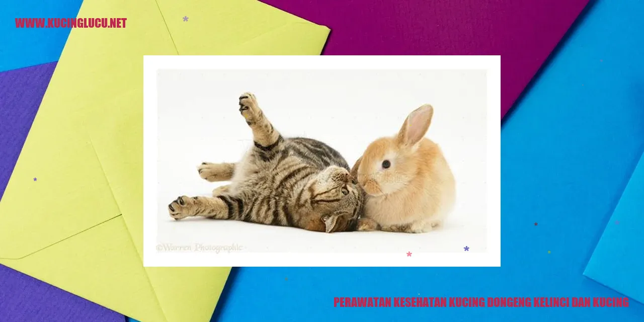 Gambar Kucing dan Kelinci