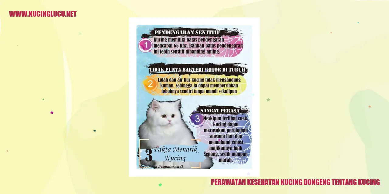 gambar kucing menggemaskan