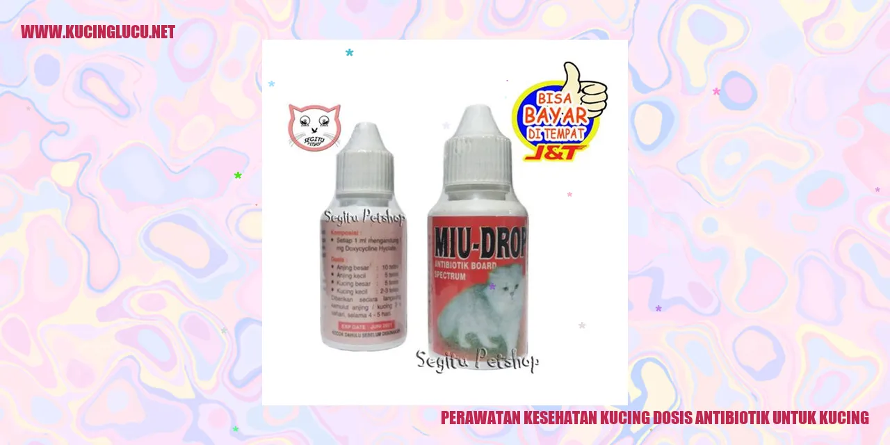 Perawatan Kesehatan Kucing dosis antibiotik untuk kucing