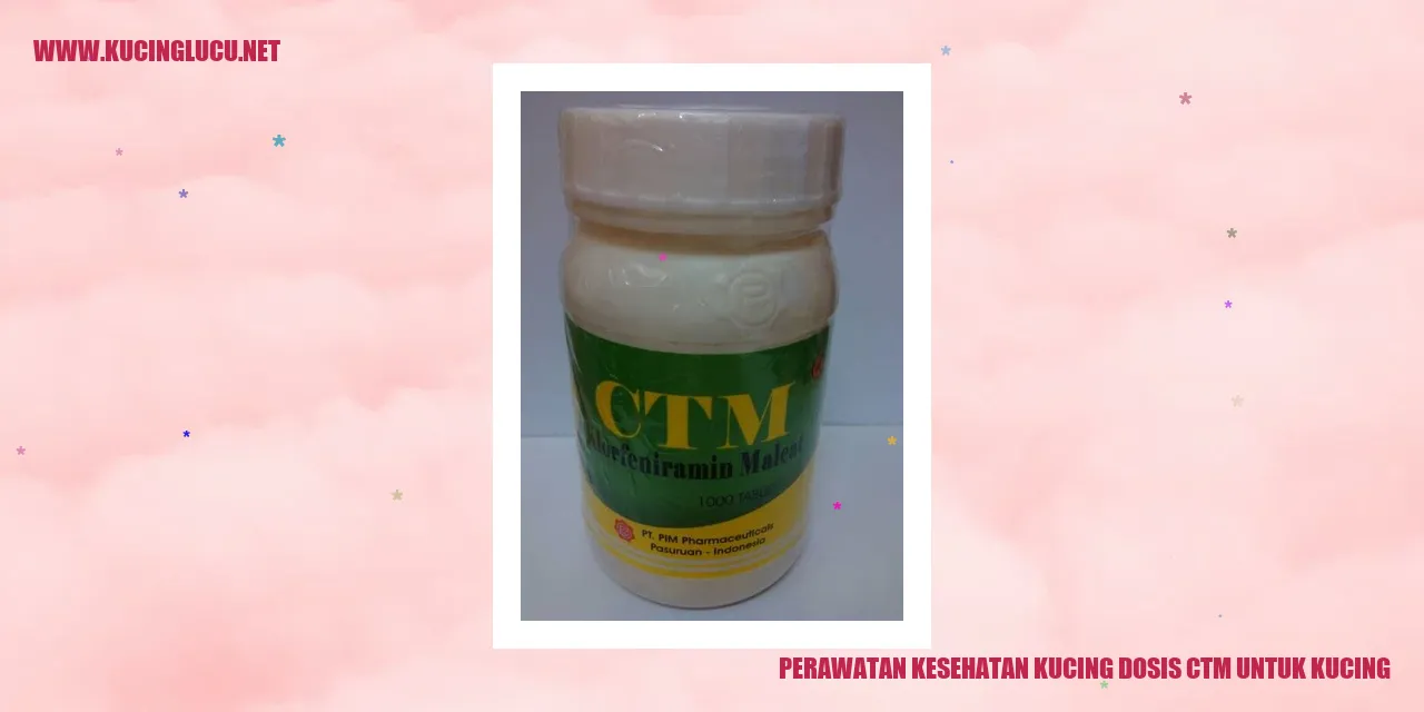Perawatan Kesehatan Kucing dengan Dosis CTM