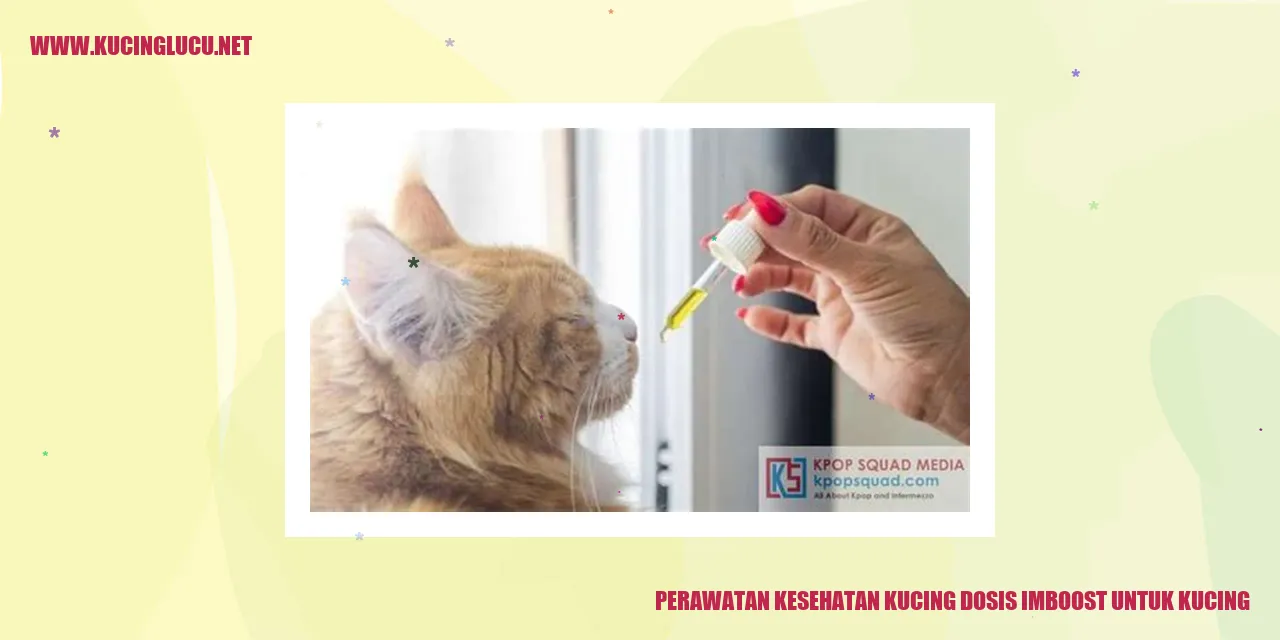 Perawatan Kesehatan Kucing