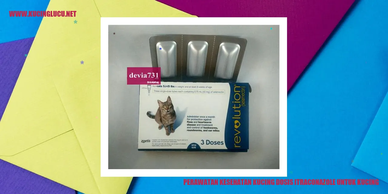 Perawatan Kesehatan Kucing dosis itraconazole untuk kucing