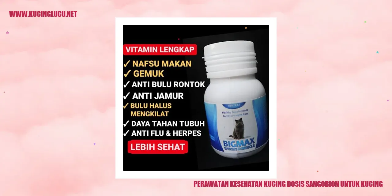 Perawatan Kesehatan Kucing