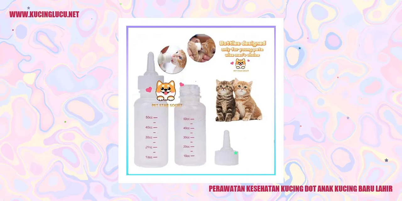 Kucing Anak yang Sehat