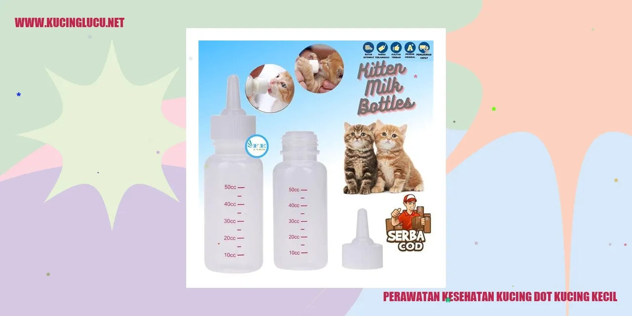 Perawatan Kesehatan Kucing Kecil