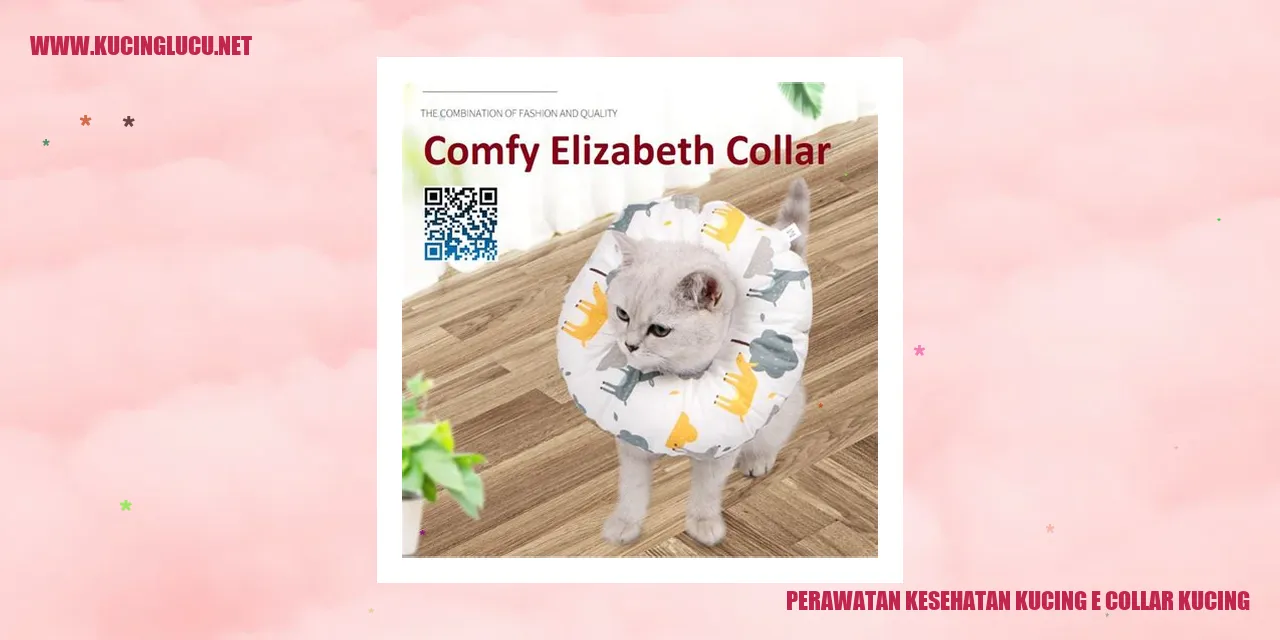 Perawatan Kesehatan Kucing e collar kucing