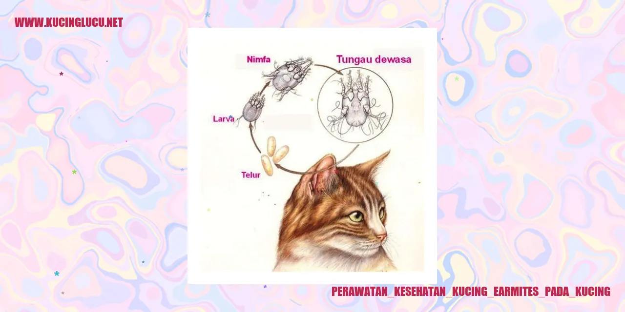 Perawatan Kesehatan Kucing earmites pada kucing