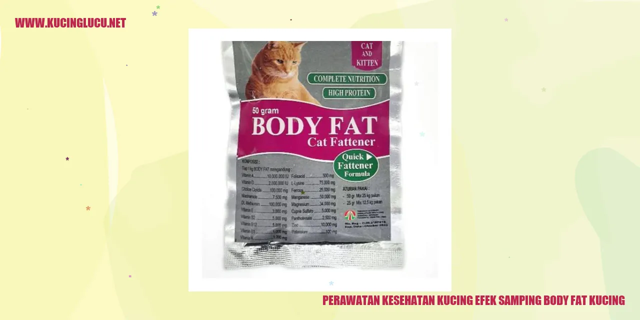Perawatan Kesehatan Kucing
