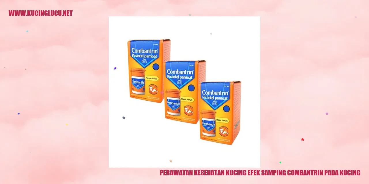 Kucing Sehat