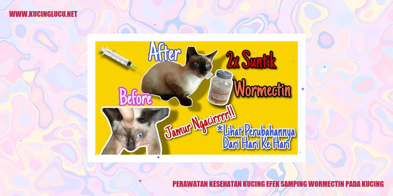 Perawatan Kesehatan Kucing efek samping wormectin pada kucing