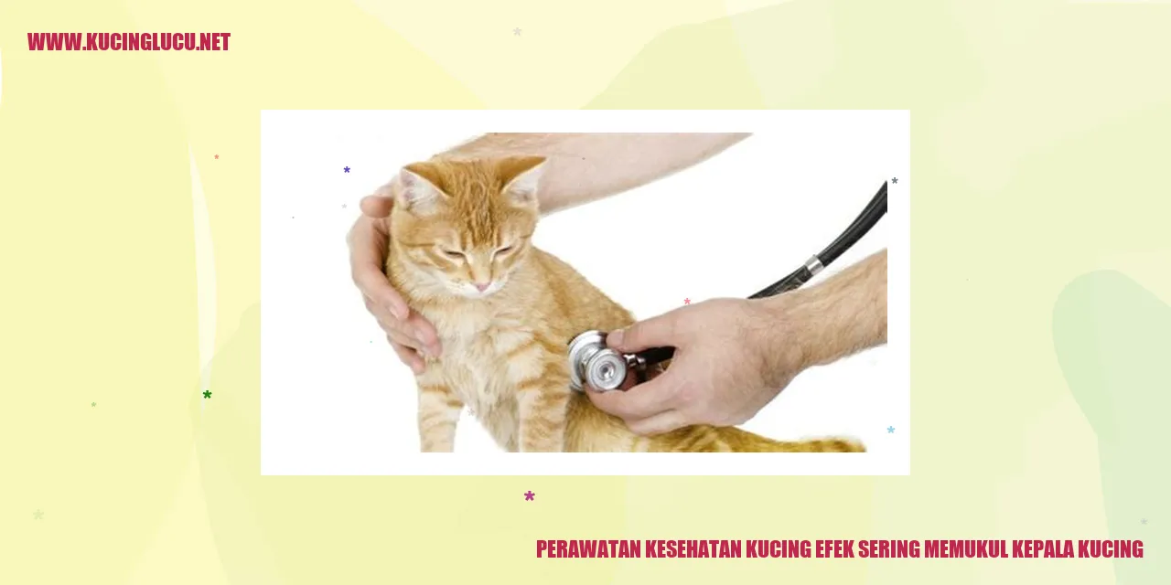 Gambar Kucing