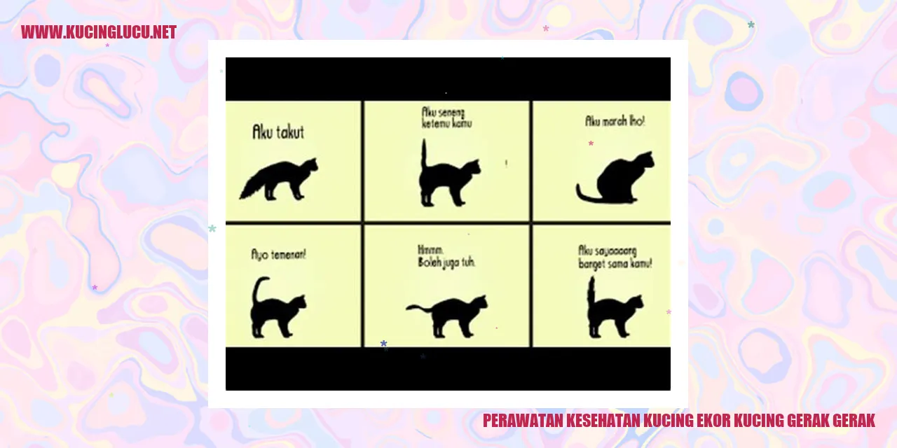 kucing gemas yang lincah