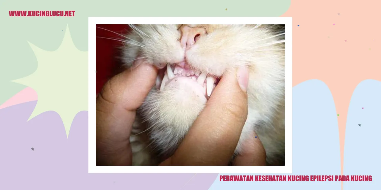 Perawatan Kesehatan Kucing Epilepsi pada Kucing