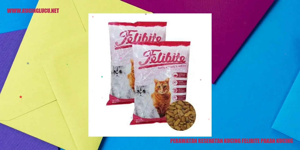 Perawatan Kesehatan Kucing