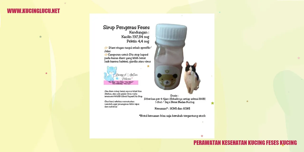 Perawatan Kesehatan Kucing
