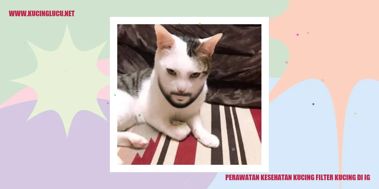 Perawatan Kesehatan Kucing di Instagram