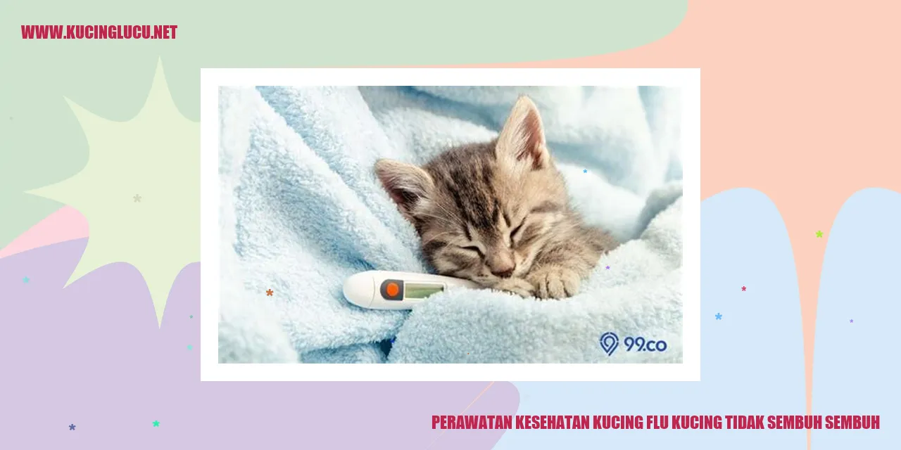 Perawatan Kesehatan Kucing flu kucing tidak sembuh sembuh