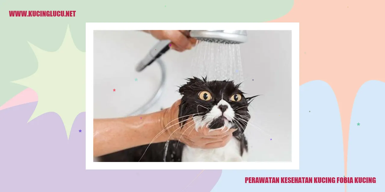Perawatan Kesehatan Kucing fobia kucing