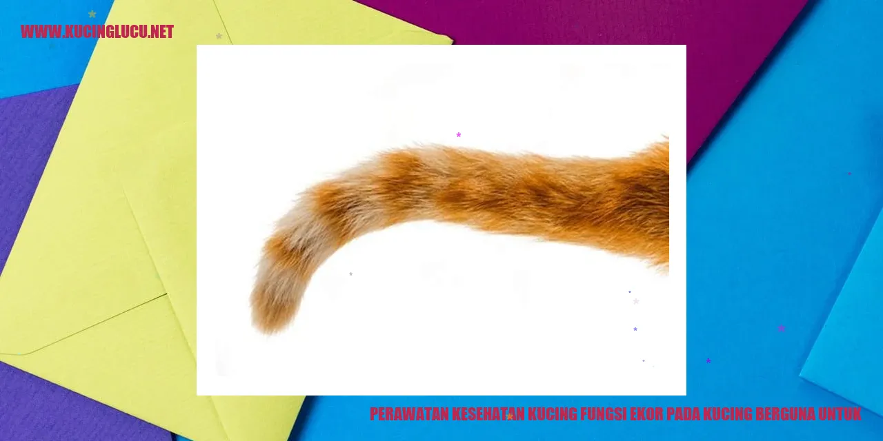 Perawatan Kesehatan Kucing: Manfaat yang Bermanfaat dari Ekor Kucing