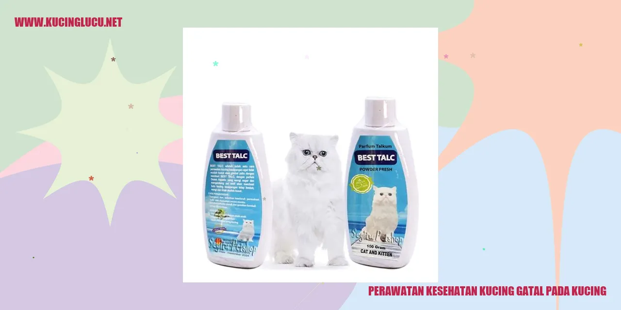 Kucing yang Gatal