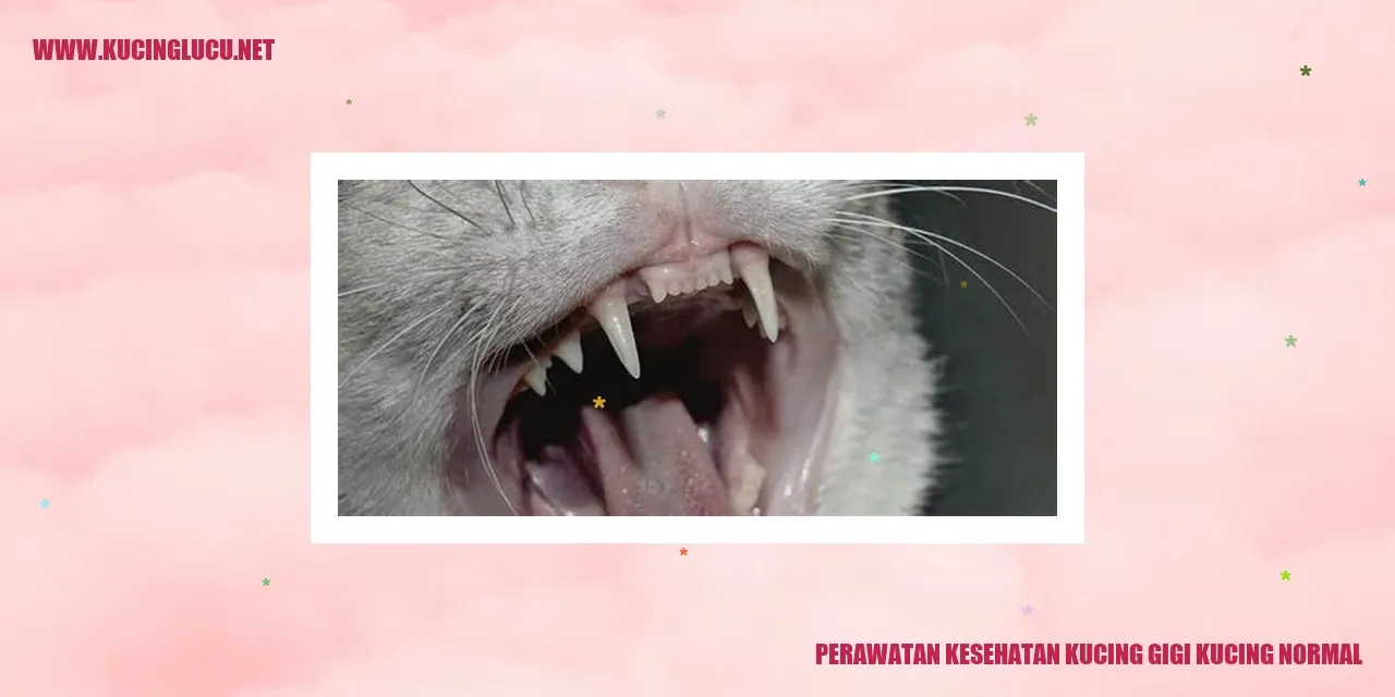 Kucing yang Punya Gigi yang Cukup Sehat