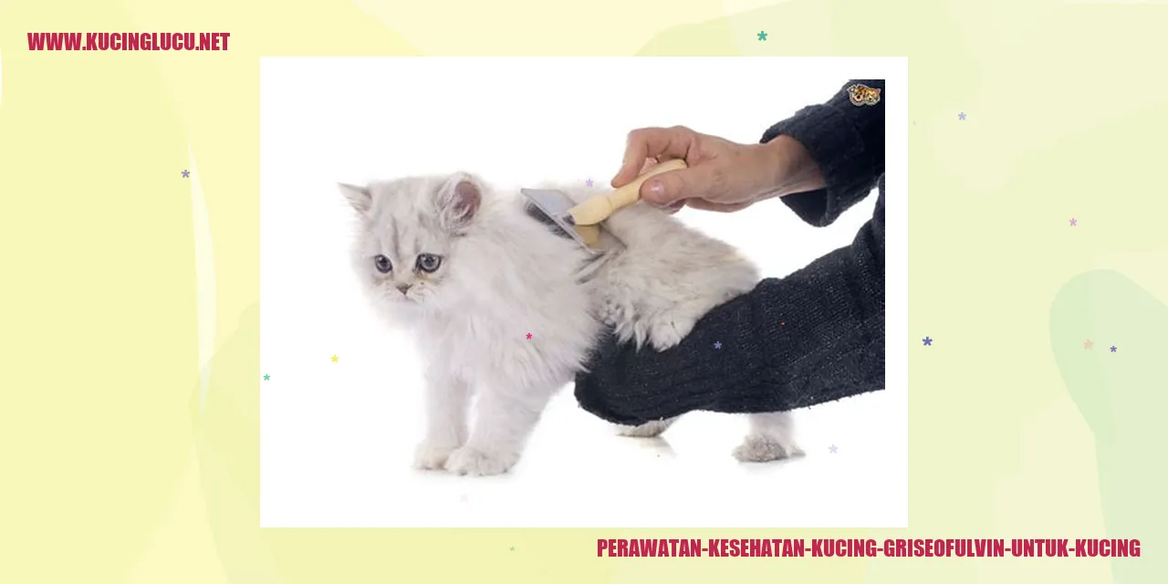 Kucing Sehat