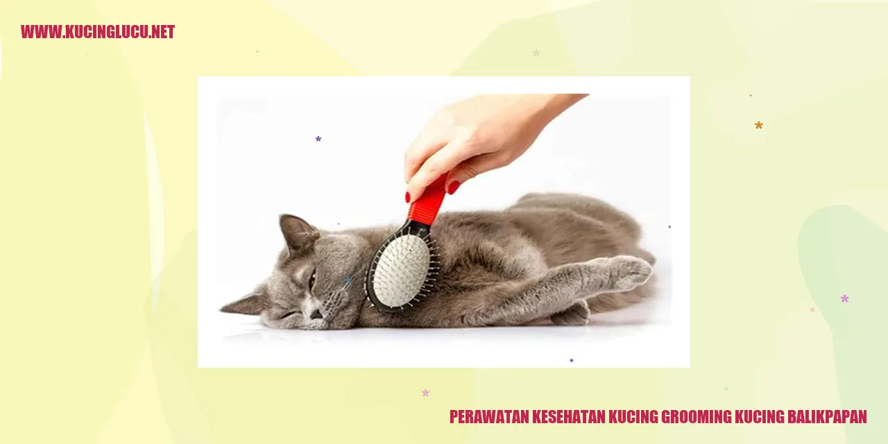 Perawatan Kesehatan Kucing di Balikpapan