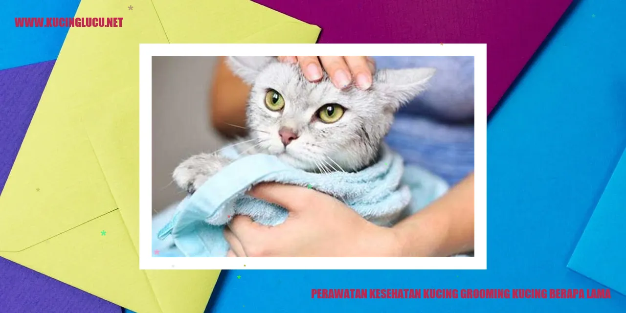 Kucing dalam sesi grooming