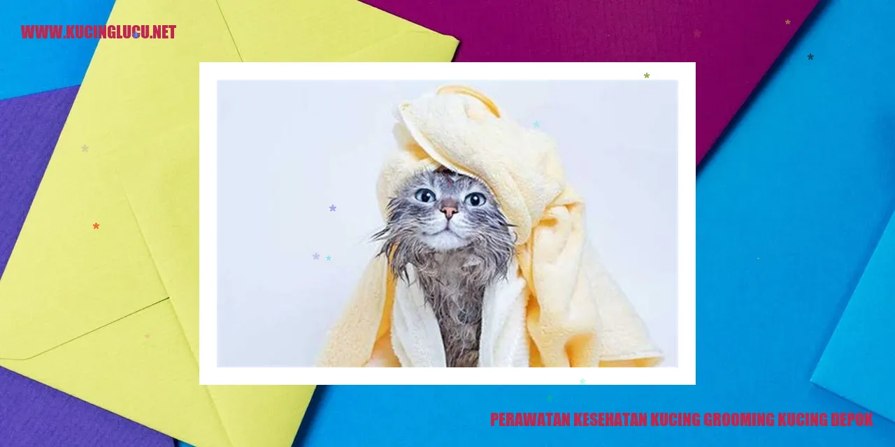 Kucing grooming di Depok