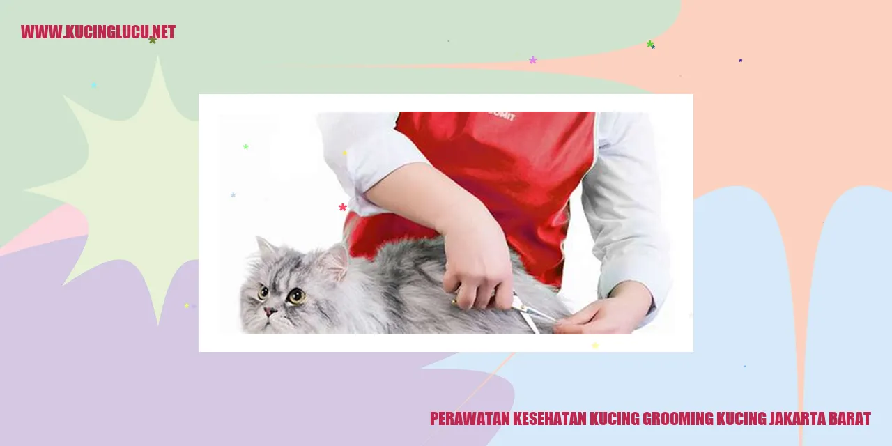 Grooming Kucing