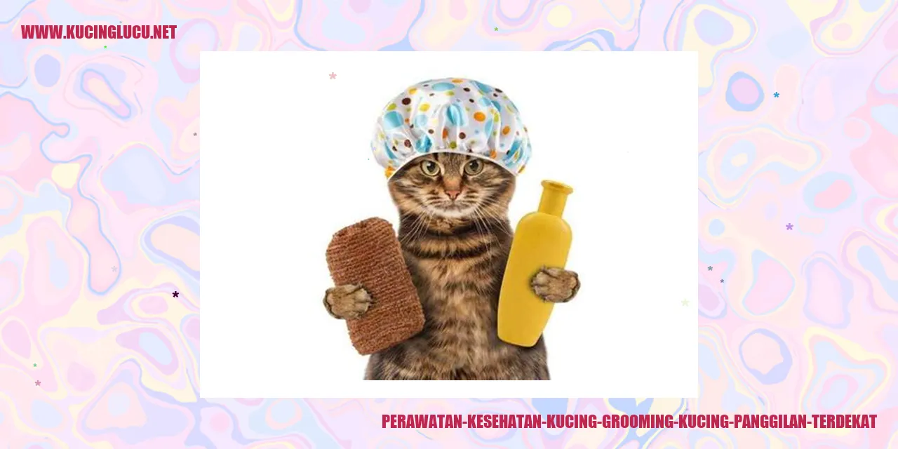 Perawatan Kesehatan Kucing