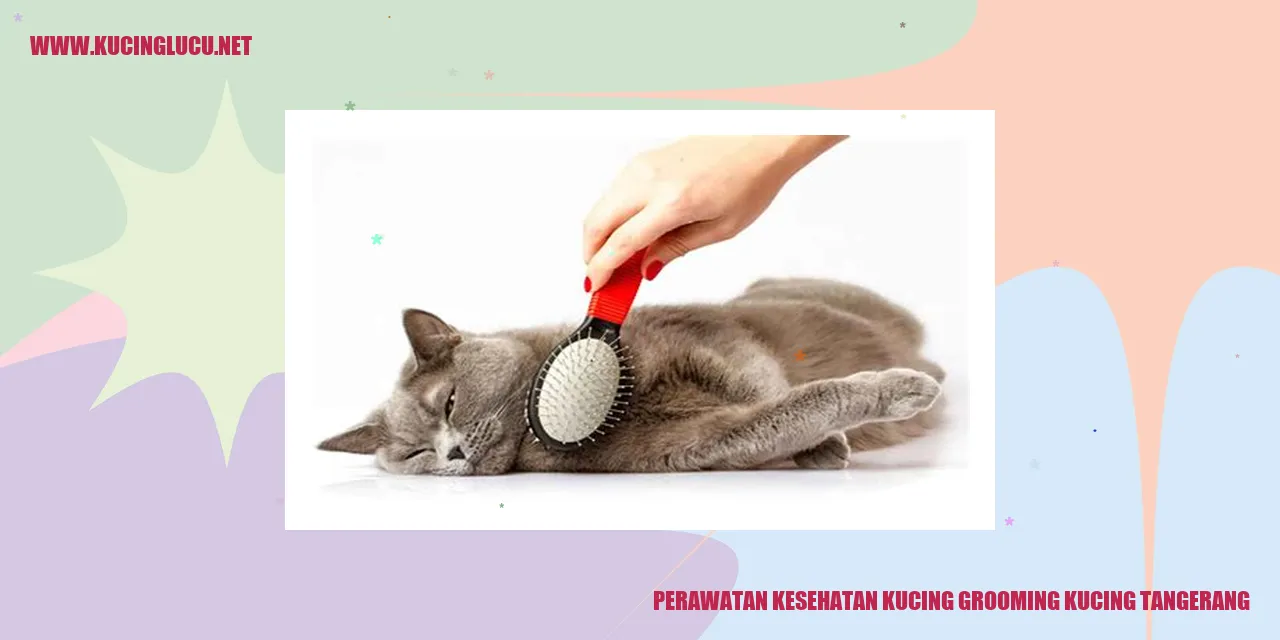 Perawatan Kesehatan Kucing di Tangerang