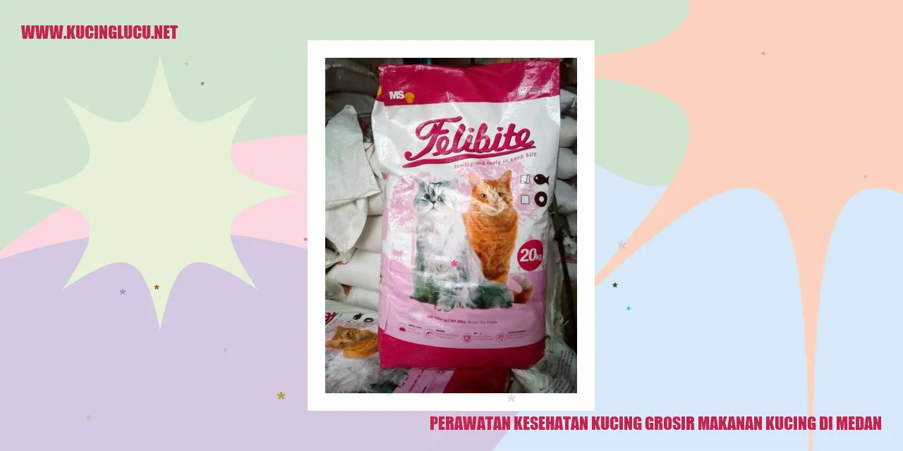gambar kucing