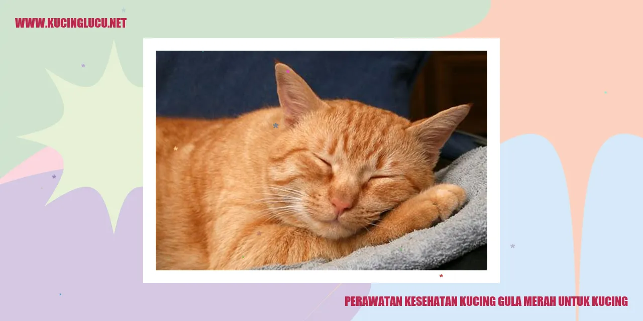 Perawatan Kesehatan Kucing Gula Merah untuk Kucing