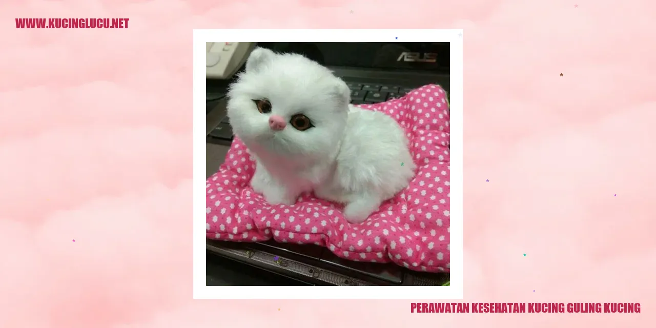Perawatan Kesehatan Kucing Guling Kucing