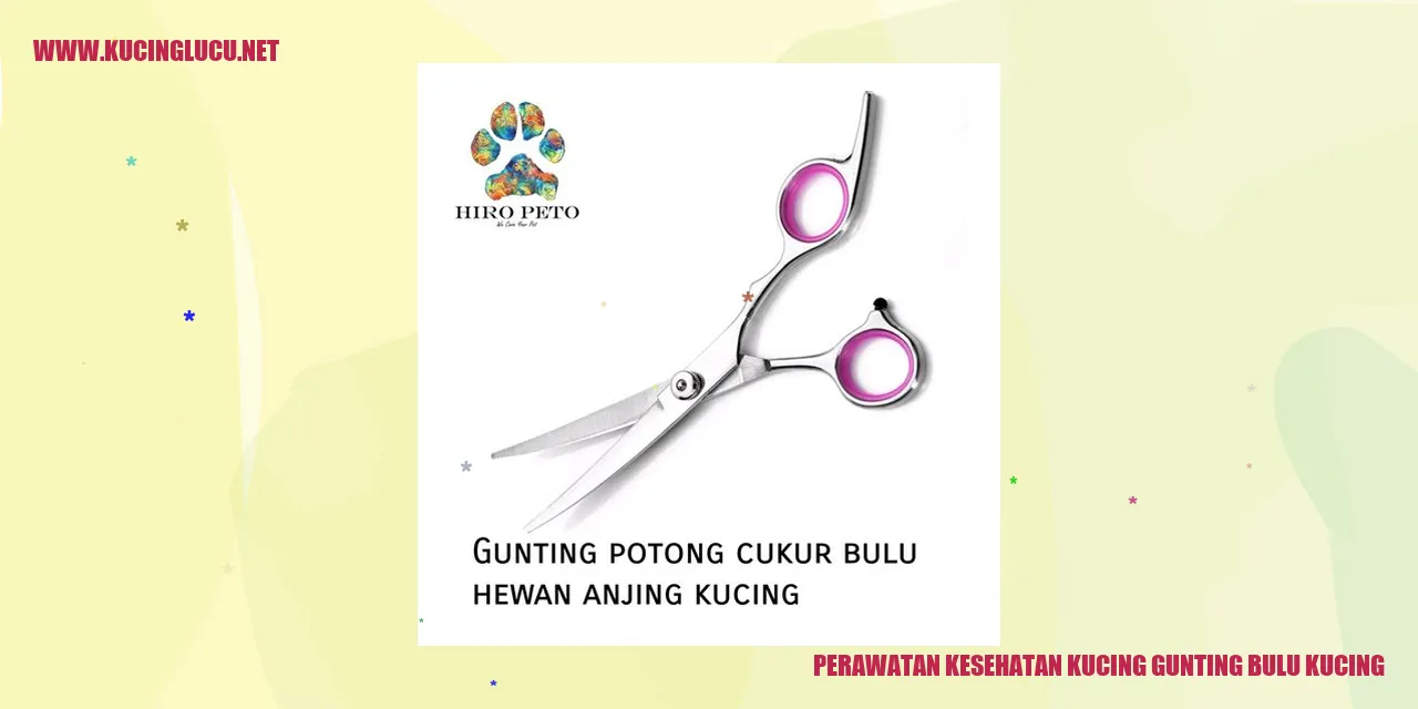 Kucing yang Bersih dan Sehat