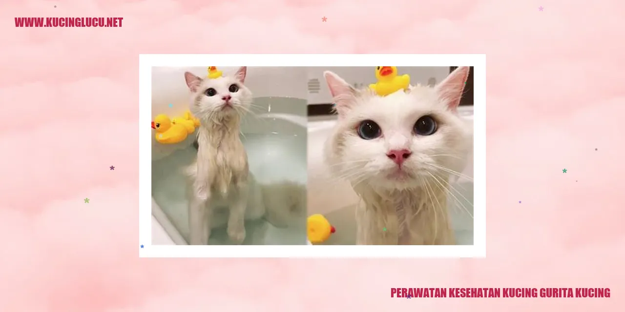 Perawatan Kesehatan Kucing Gurita Kucing