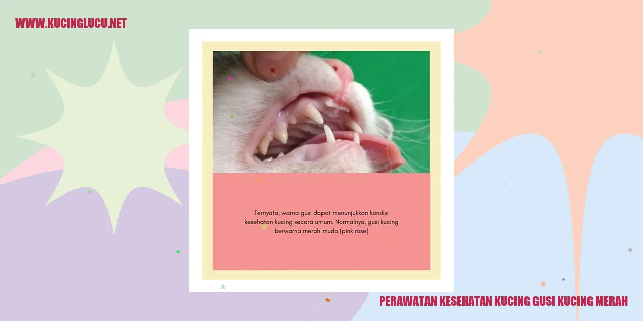 Gusi Kucing Merah