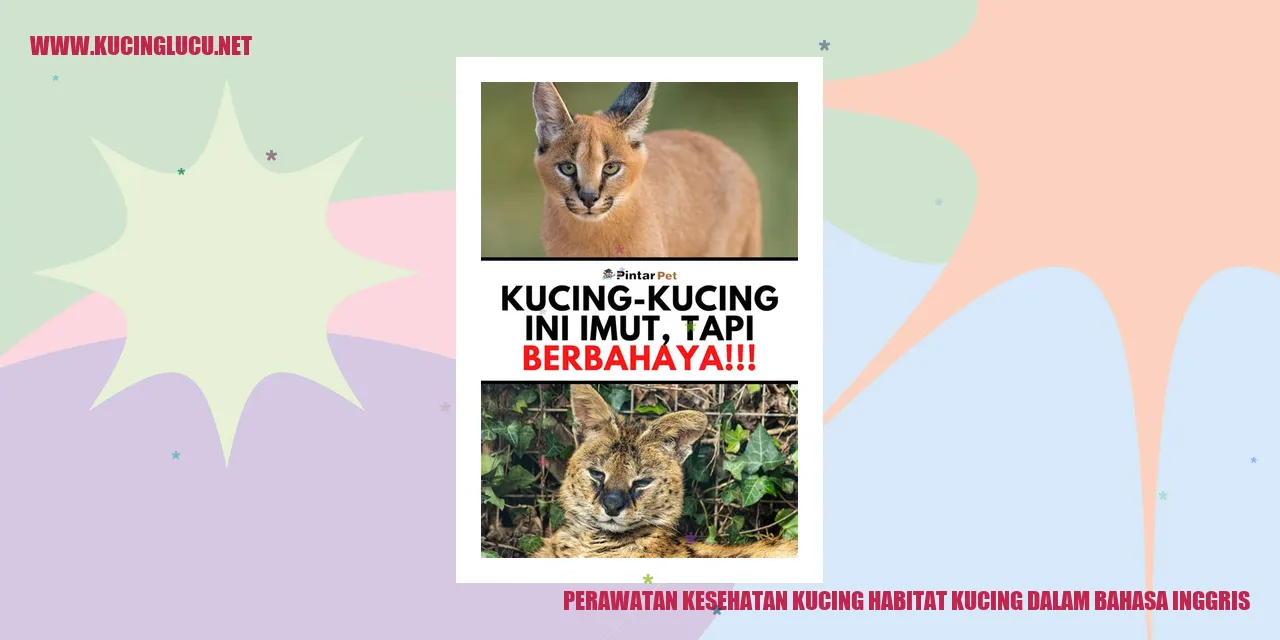 Perawatan Kesehatan Kucing