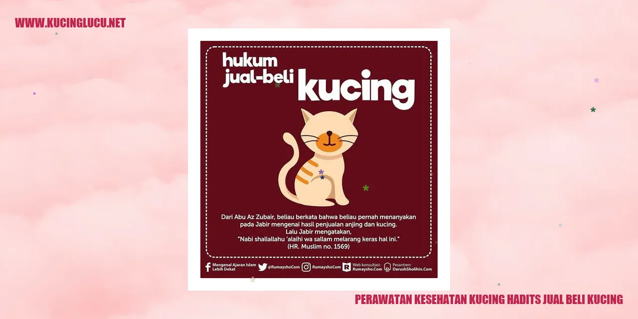 Perawatan Kesehatan Kucing