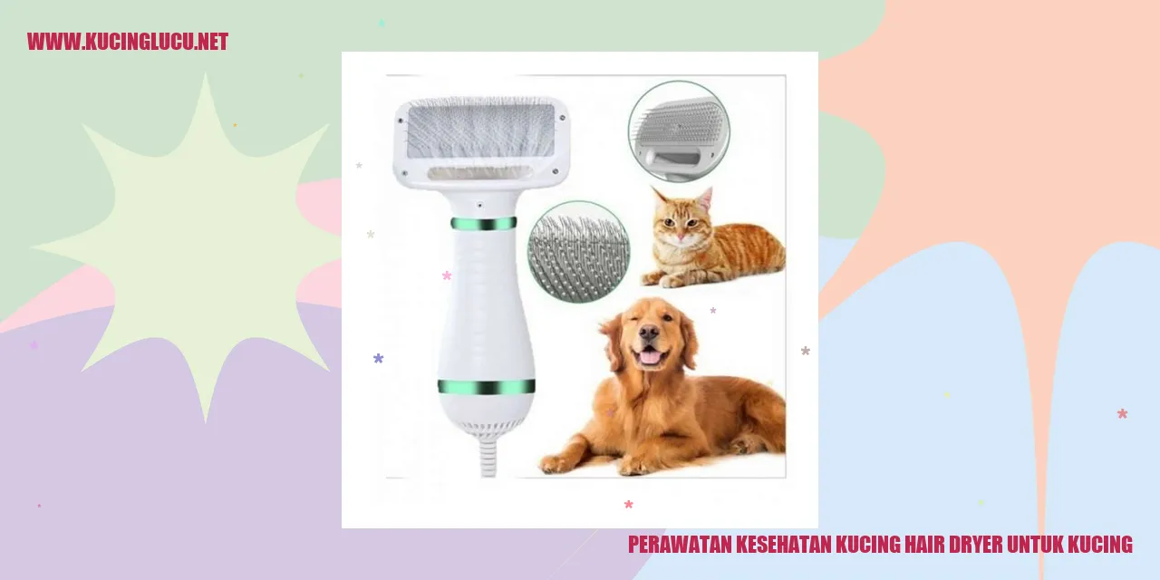 Perawatan Kesehatan Kucing hair dryer untuk kucing