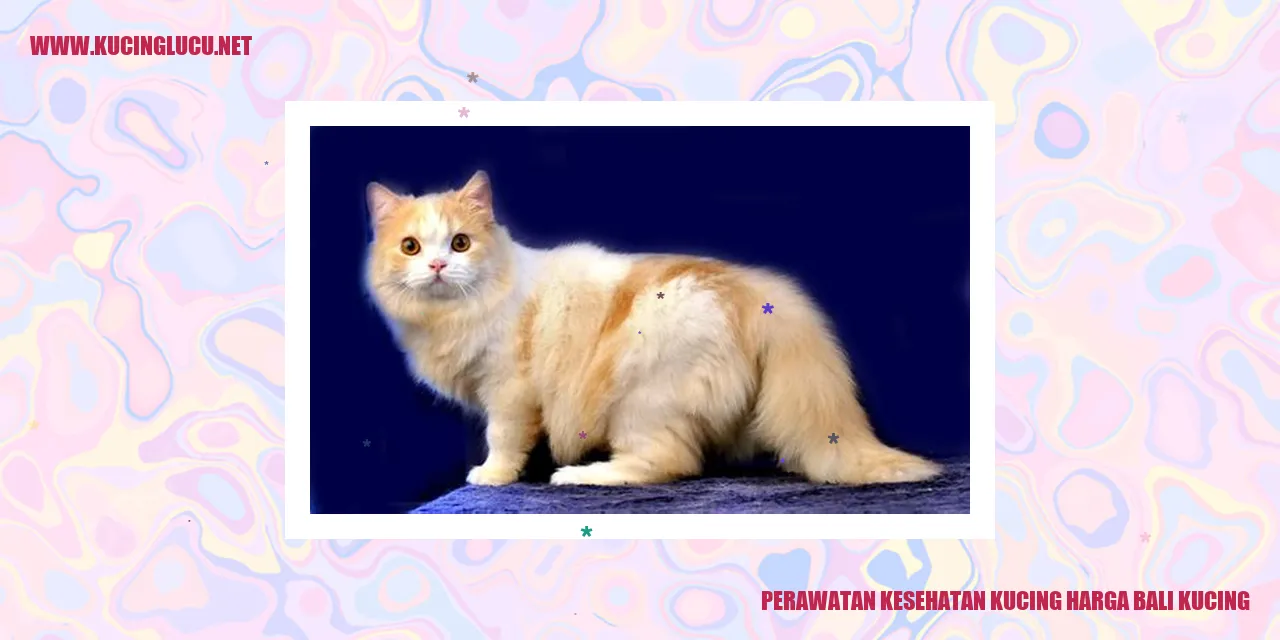 Perawatan Kesehatan Kucing dan Harga Kucing Bali